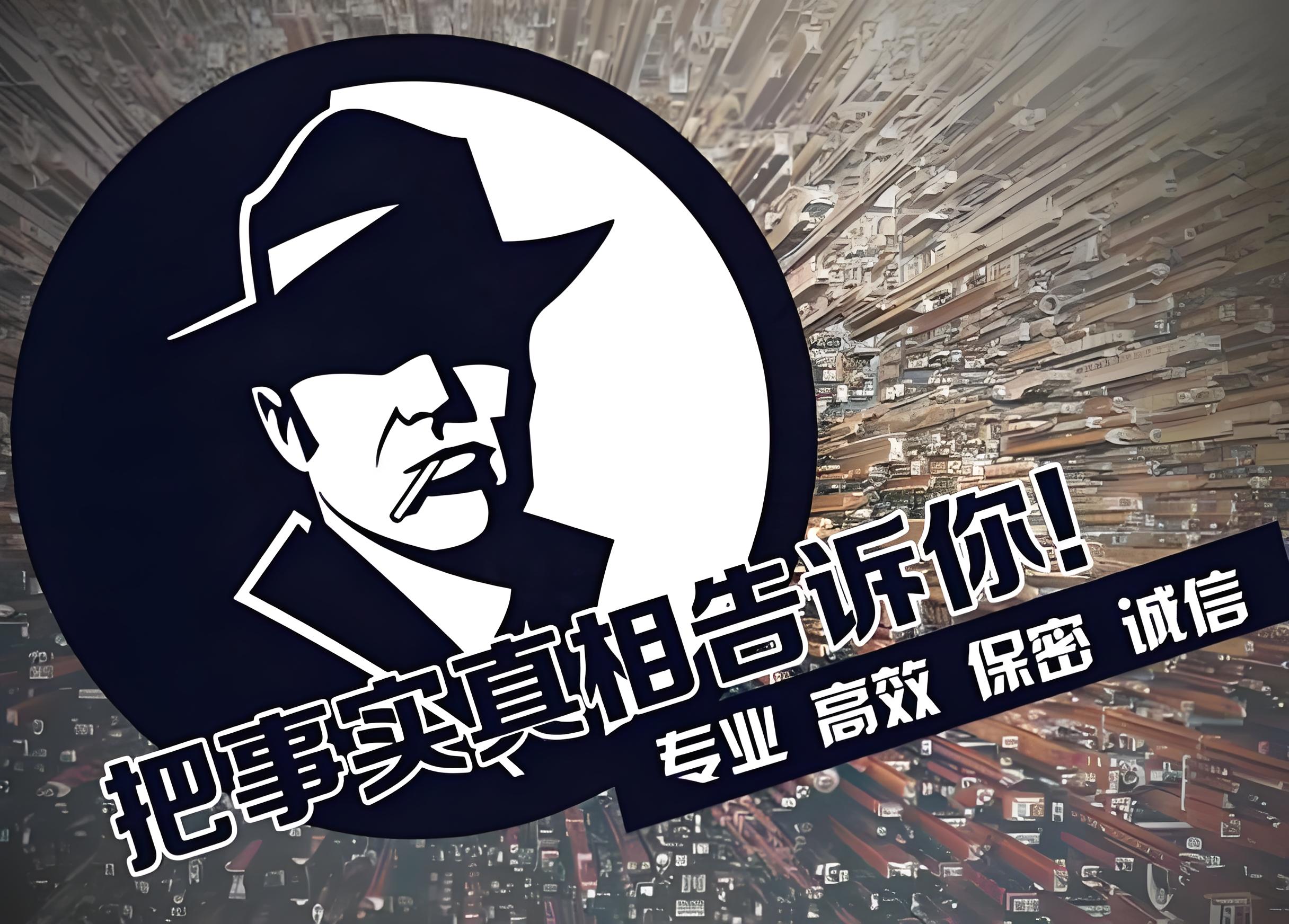 私家调查——探寻真相的私家侦探之旅